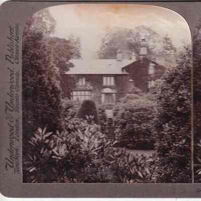 Stereograph