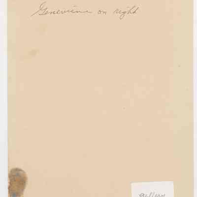 Print, Photographic