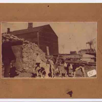 Print, Photographic