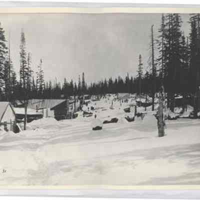 Print, Photographic