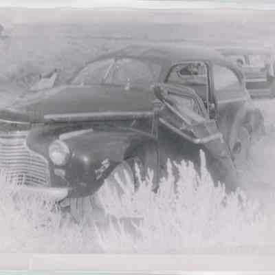 Print, Photographic