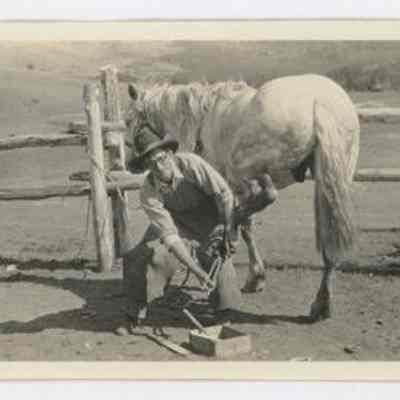 Print, Photographic