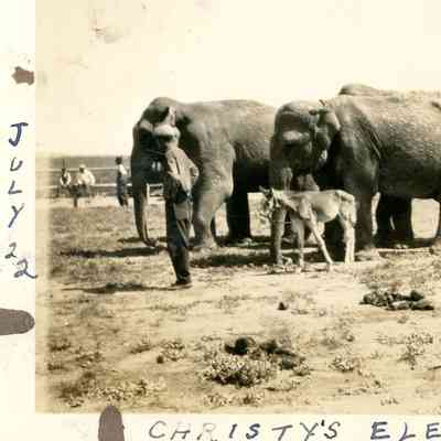 Photograph