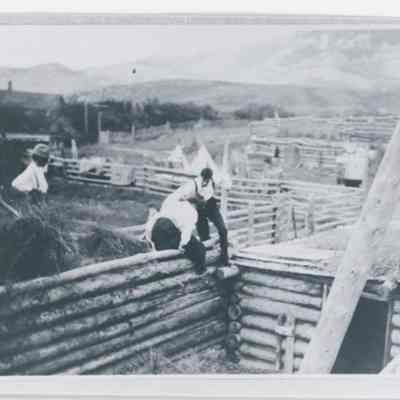 Print, Photographic