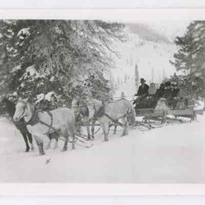 Print, Photographic
