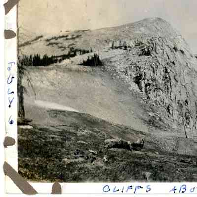 Photograph