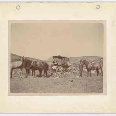 Print, Photographic