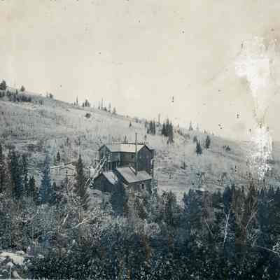 Print, Photographic