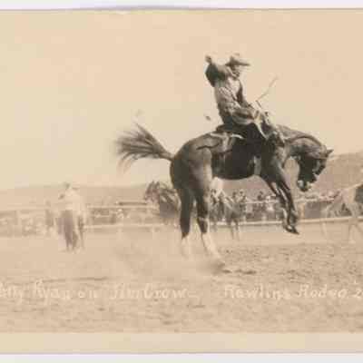 Postcard