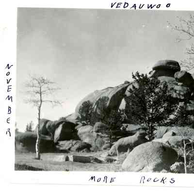 Photograph
