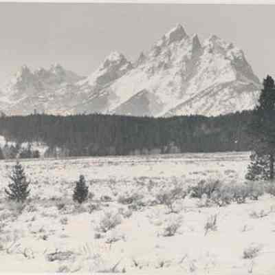 Print, Photographic