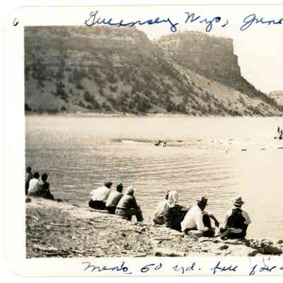 Photograph