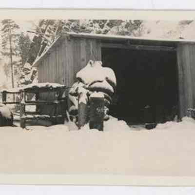 Print, Photographic