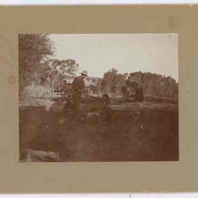 Print, Photographic