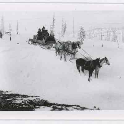 Print, Photographic