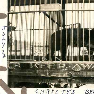 Photograph