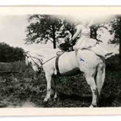 Print, Photographic