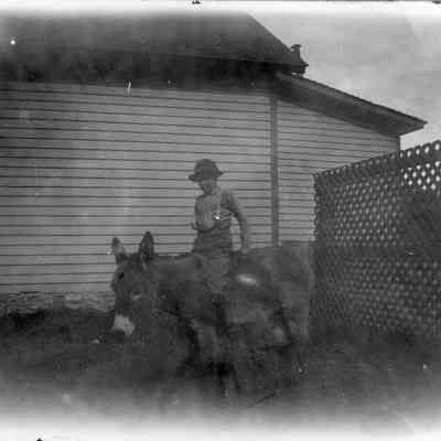 Print, Photographic