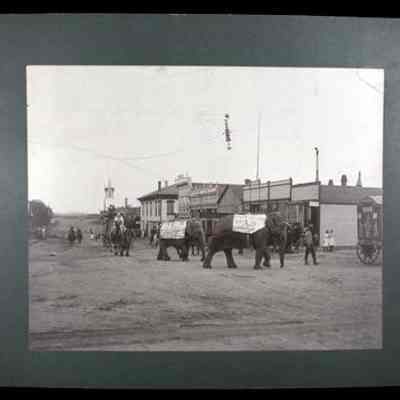 Print, Photographic