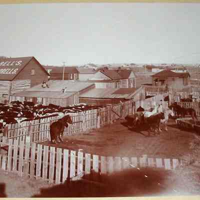 Print, Photographic