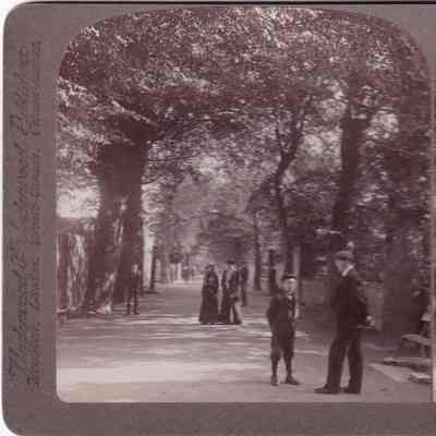 Stereograph