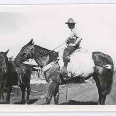 Print, Photographic
