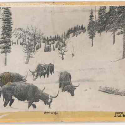 Postcard