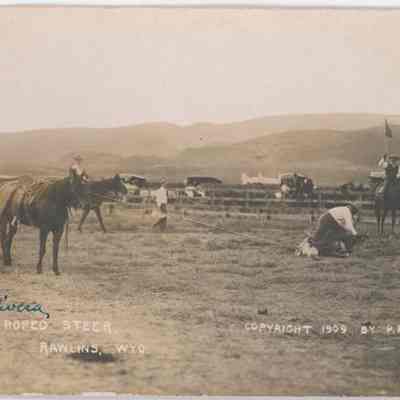 Postcard