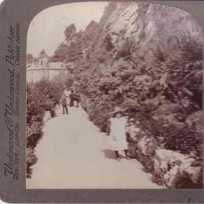 Stereograph
