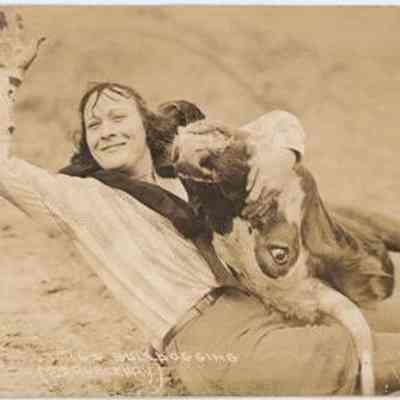 Postcard