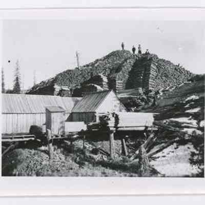 Print, Photographic
