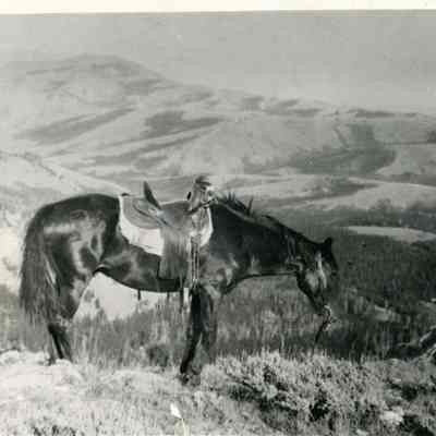 Print, Photographic