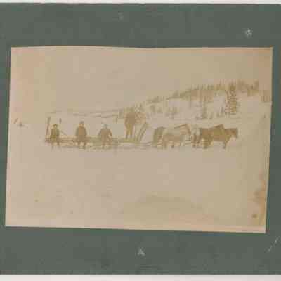 Print, Photographic