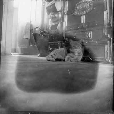 Print, Photographic