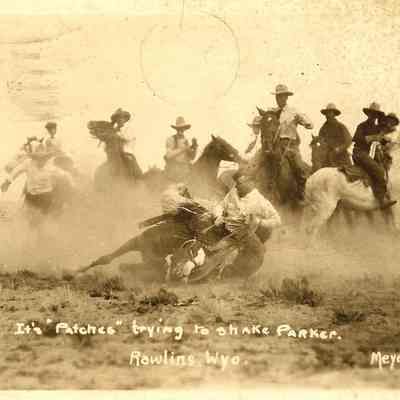 Postcard
