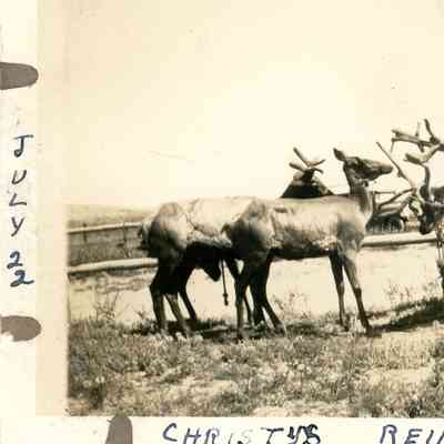 Photograph
