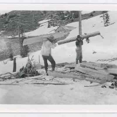 Print, Photographic