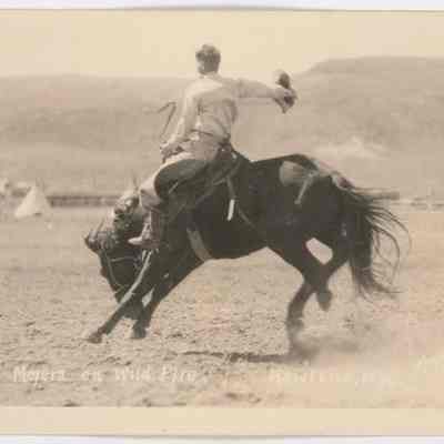 Postcard