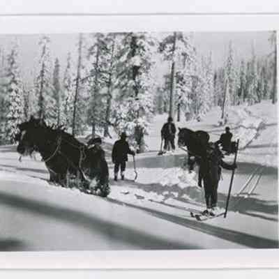 Print, Photographic