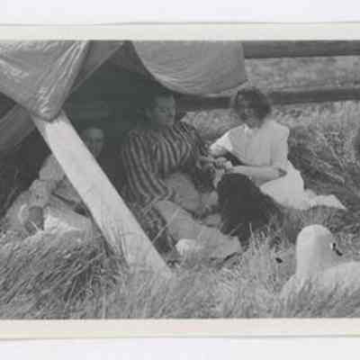 Print, Photographic