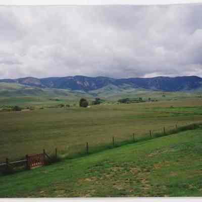 Print, Photographic