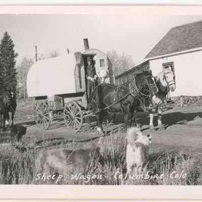 Postcard