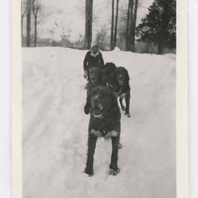 Print, Photographic