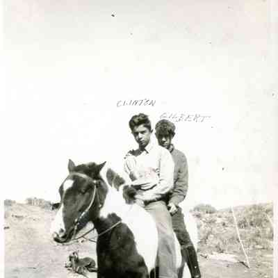 Photograph