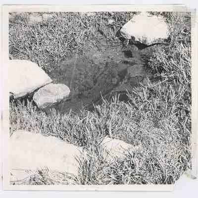 Print, Photographic