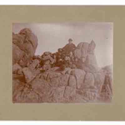 Print, Photographic