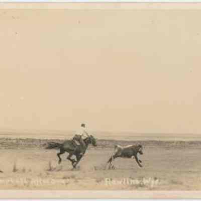 Postcard