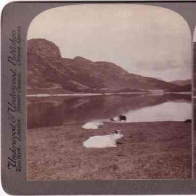 Stereograph