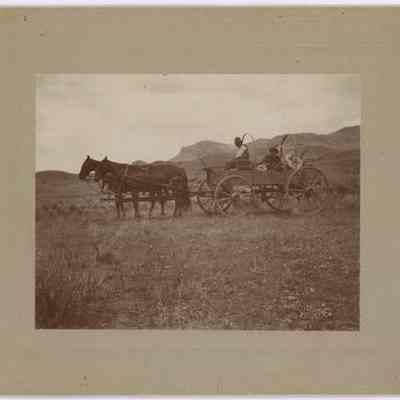 Print, Photographic