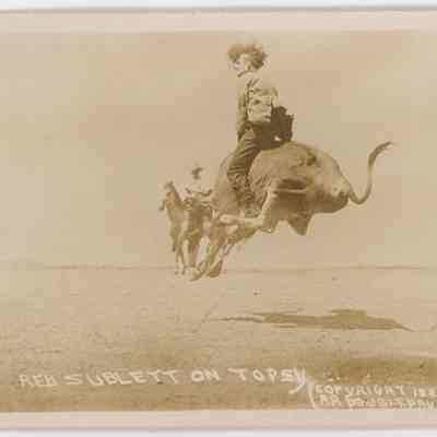 Postcard